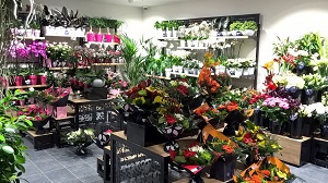 Étals de fleurs d'un magasin nouvelle génération Monceau Fleurs